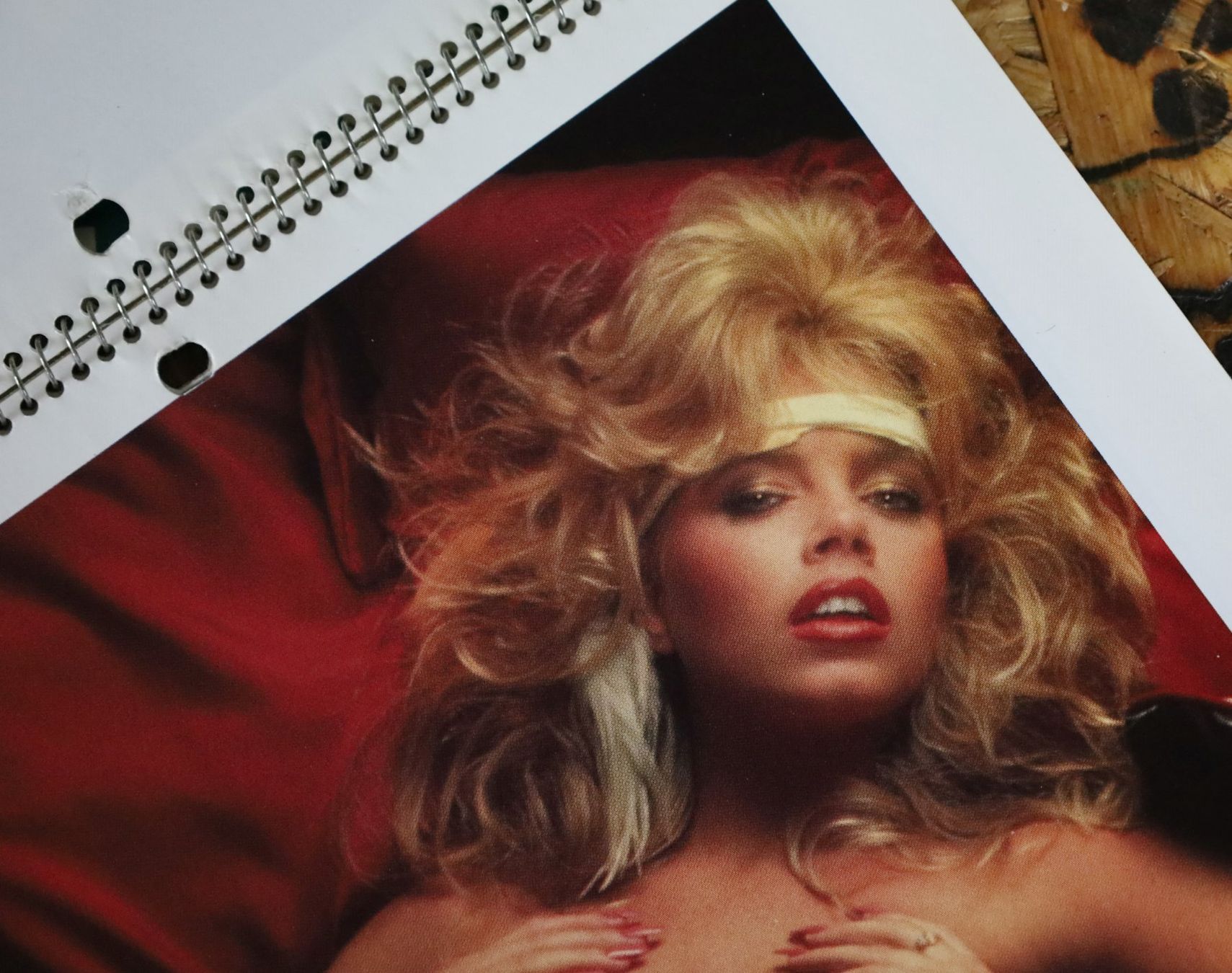 Playboy Calendari: PLAYBOY Kalender 1987 – Usato da Birrwil venduto da brandschatz_birrwil 2