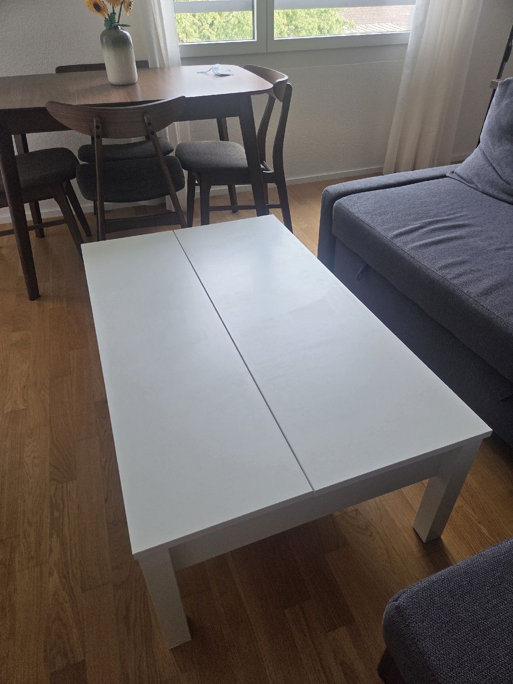 Tische: IKEA Trulstorp White Coffee Table with Storage – Gebraucht aus Ebikon von car_cb7c 3
