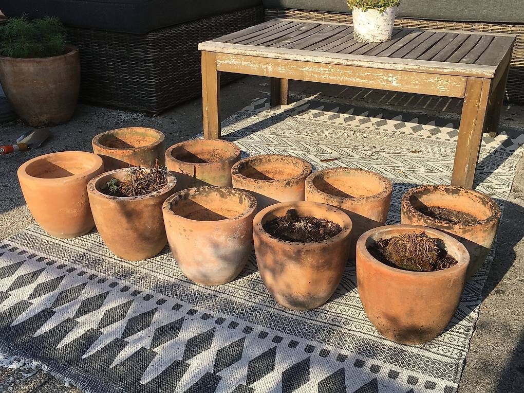 Pots de fleurs: Diverse Terracotta-Töpfe – D'occasion à Zürich par BuenosAires03 2
