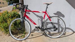 Rennrad Da Vinci