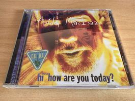 Ashley MacIsaac – Hi™ How Are You Today?