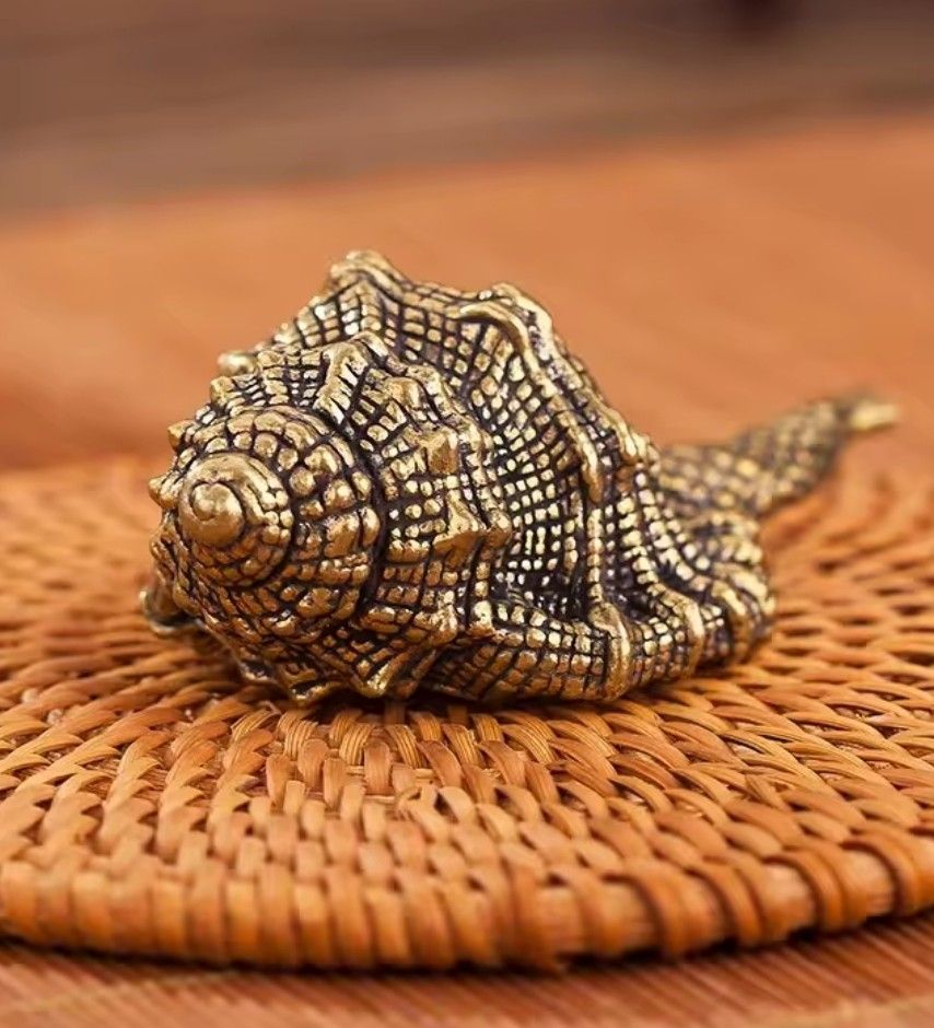 Sculture & Statue: coquillage moule en bronze – Nuovo e nell'imballaggio originale da Vernier venduto da 19pigments