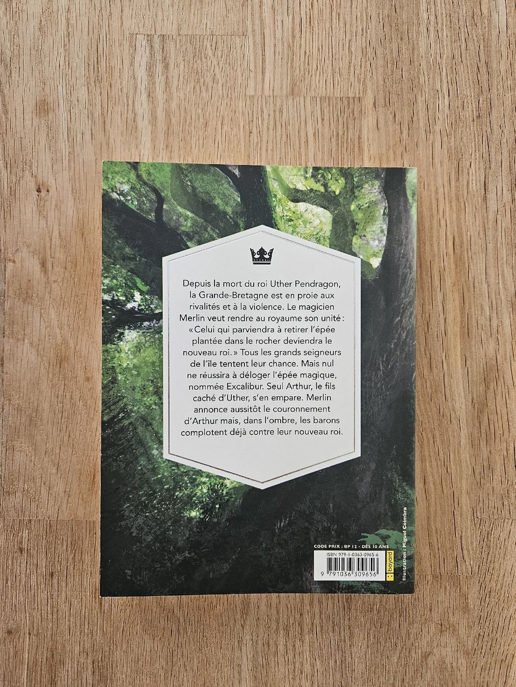 Livres: Le Roi Arthur - Claude Merle – Neuf (Voir description) à Bulle par janeyreadsonthetrain 1