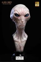 The Dulce Wars (the Grey)  - Life Size Büste von ECC