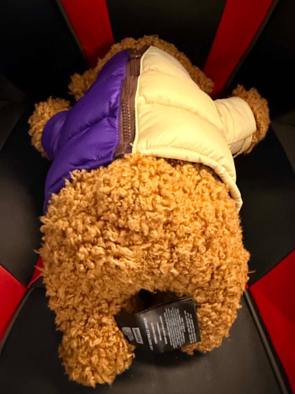 Supreme T-shirts: Supreme The North Face Bear – D'occasion à Giubiasco par Ticinerd 2