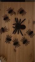 Halloween Deko Spinne 🕷️ - Der Grusel kann beginnen!