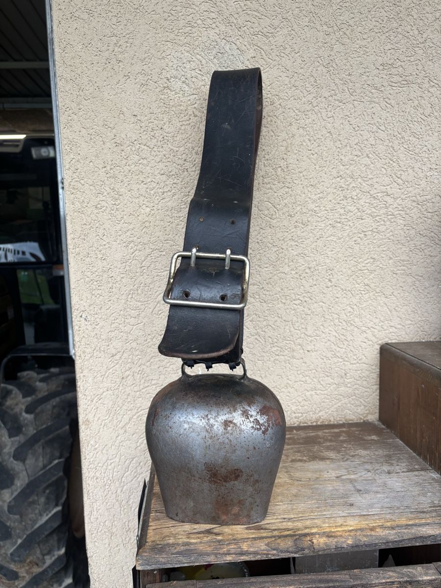 Campanacci mucche: Gotthardt NR 1 – Usato da Schangnau venduto da Roseggli82