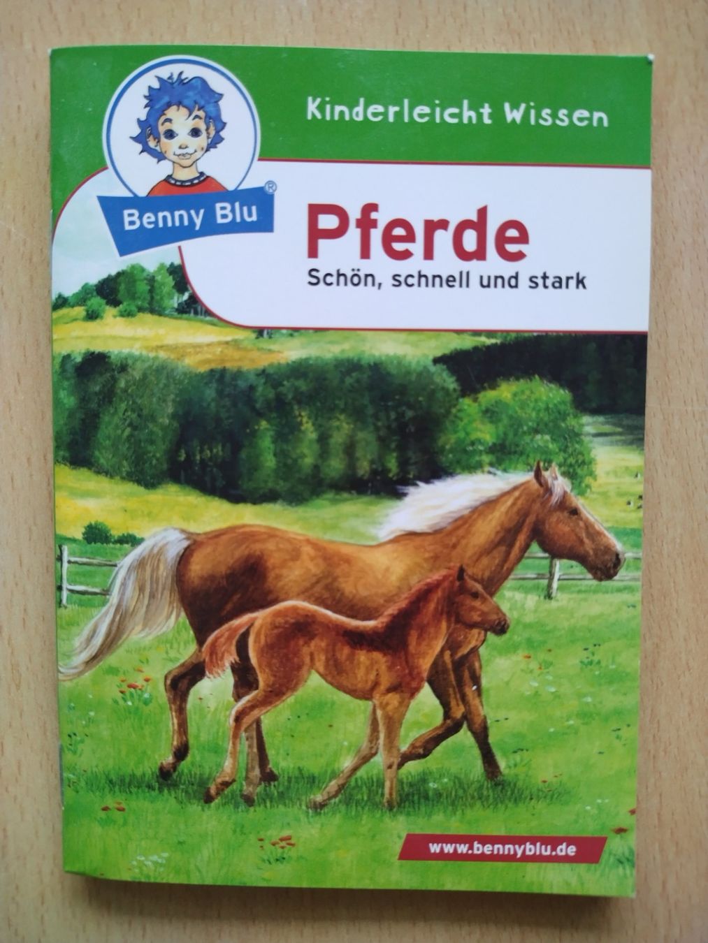 Bücher: Benny Blu - Pferde / Schön, schnell und stark – Neu (gemäss Beschreibung) aus Jona von Argus36