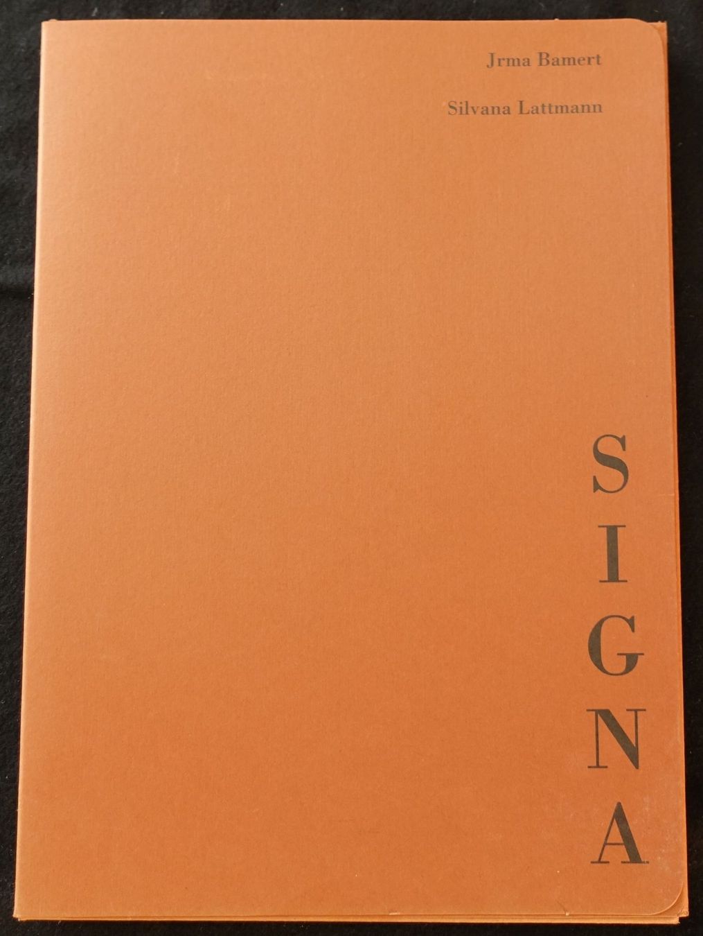 Libri: Signa, Jrma Bamert, Silvana Lattmann – Usato da Gutenswil venduto da Optico 1