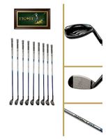 Honma Shuttle Gold - Eisenset (5-10, PW, AW, SW)