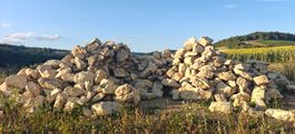 Jurakalk Natursteine aus Aushub