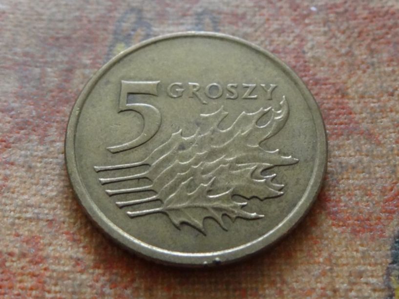 Tutti le monete: Pologne  5  Groszy  2003  (P) – Usato da Romanel-sur-Lausanne venduto da Swift13 1