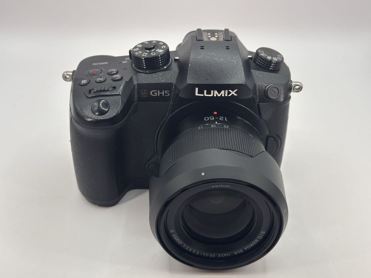 Panasonic Fotocamera: Panasonic Lumix Dc Gh5m – Usato da Arbon venduto da Sed_9bj9 3