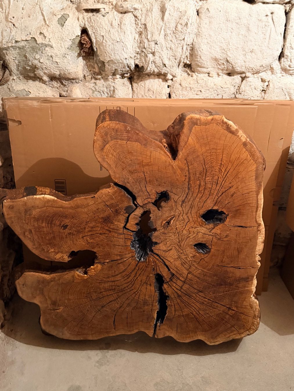 Tables: Unikat Couchtisch aus massivem Baumstammholz – D'occasion à Bern par Shaynoon