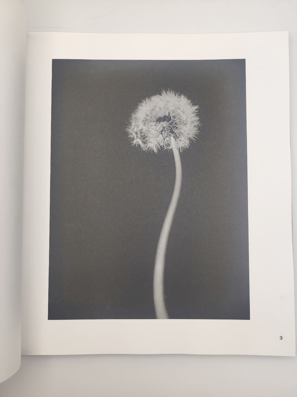 Libri: PHOTOBOOKS - STEFFEN DIEMER – Nuovo (secondo la descrizione) da Goldach venduto da Gaip 3