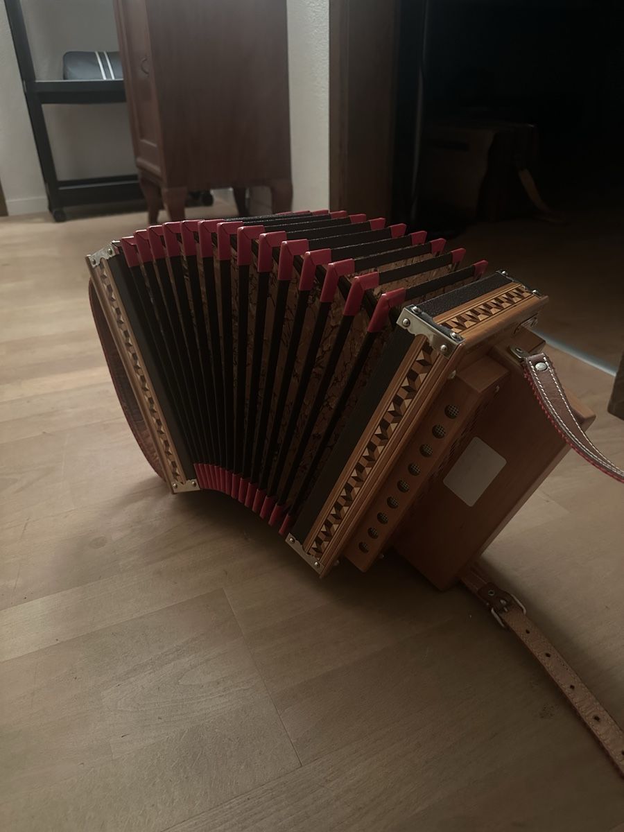 Strumenti musicali: Zanin Örgeli – Usato da Langenthal venduto da d_Alasser 1