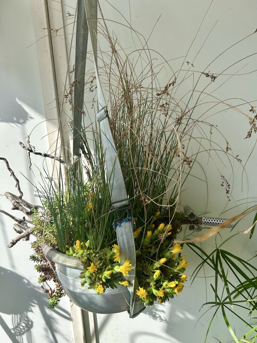 Blumentöpfe: Blumenampel  – Gebraucht aus Frauenfeld von Irene.Schuppli 8
