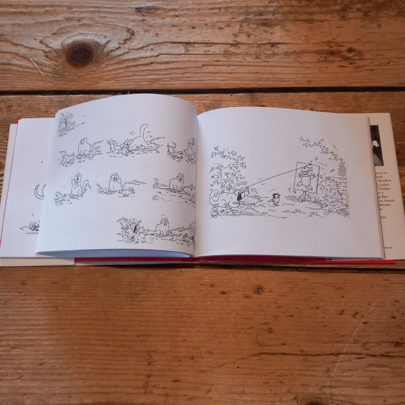 Libri: Simon's Cat – Usato da Ebnat-Kappel venduto da blazzi 4