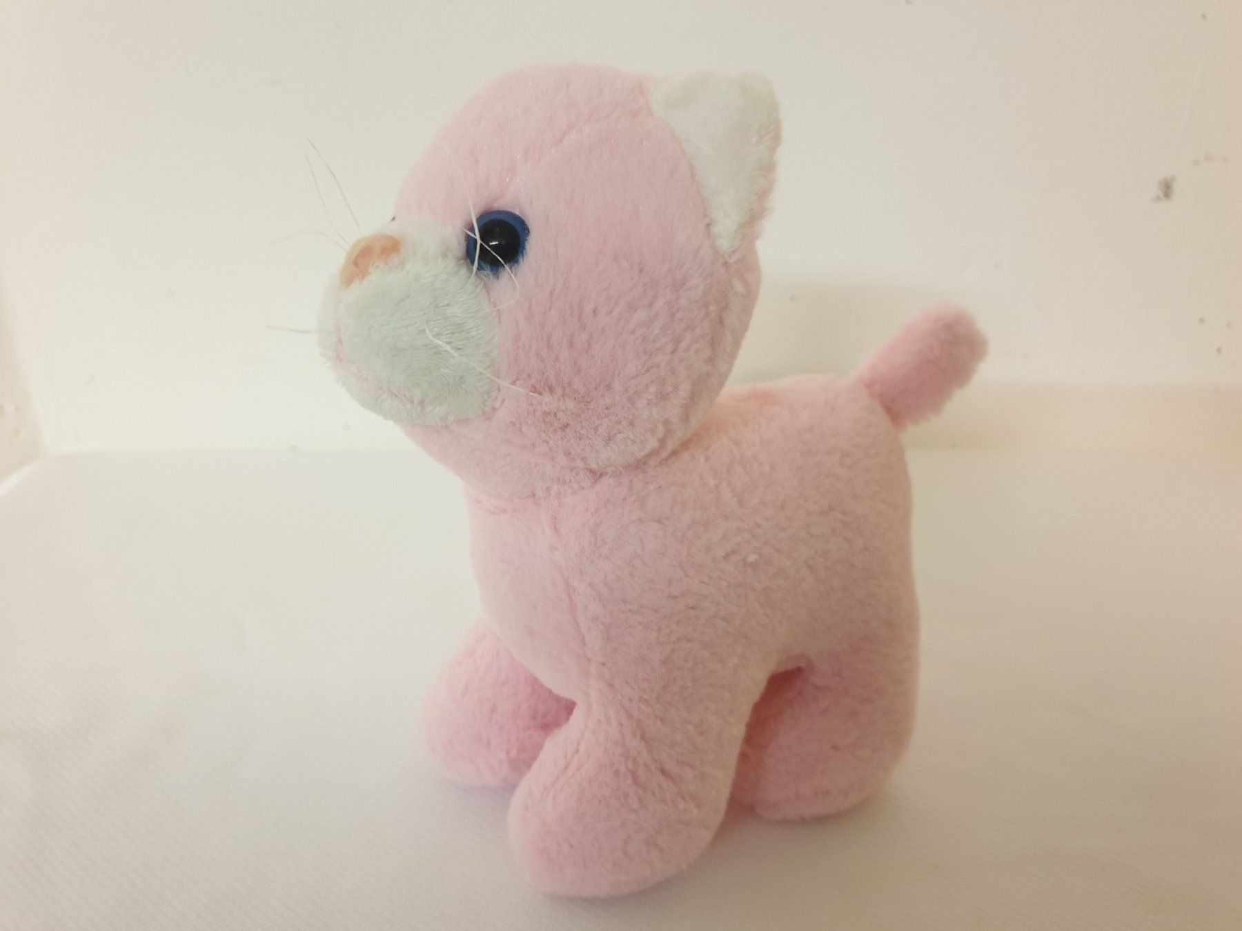 Giocattoli: Plüsch Kätzchen, Katze rosa Grösse 19cm – Usato da Malters venduto da burzi