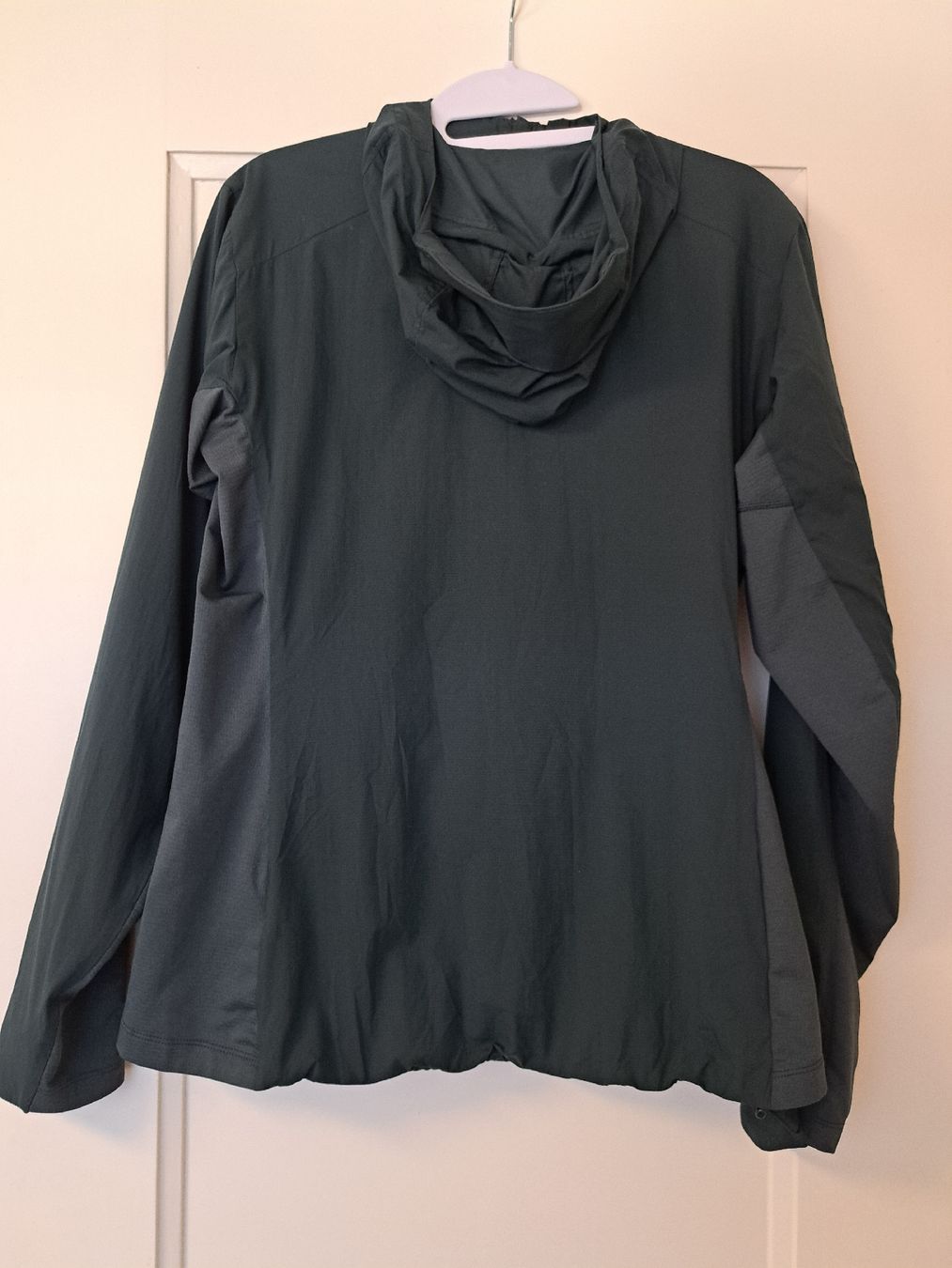 Arcteryx Giacche: Arteryx Atom SL Hoody – Usato da Thalwil venduto da sternenstaub369 2