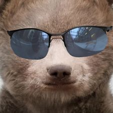 Profile image of Zsolt