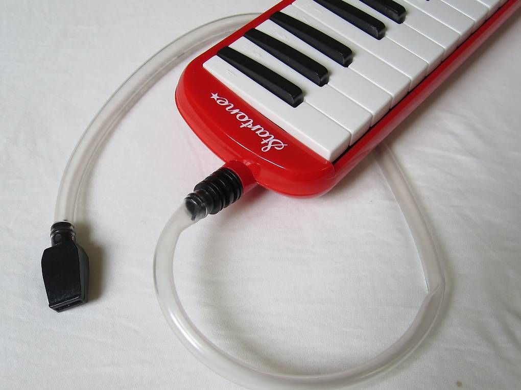 Strumenti musicali: Melodica – Usato da Zürich venduto da Furgers 1