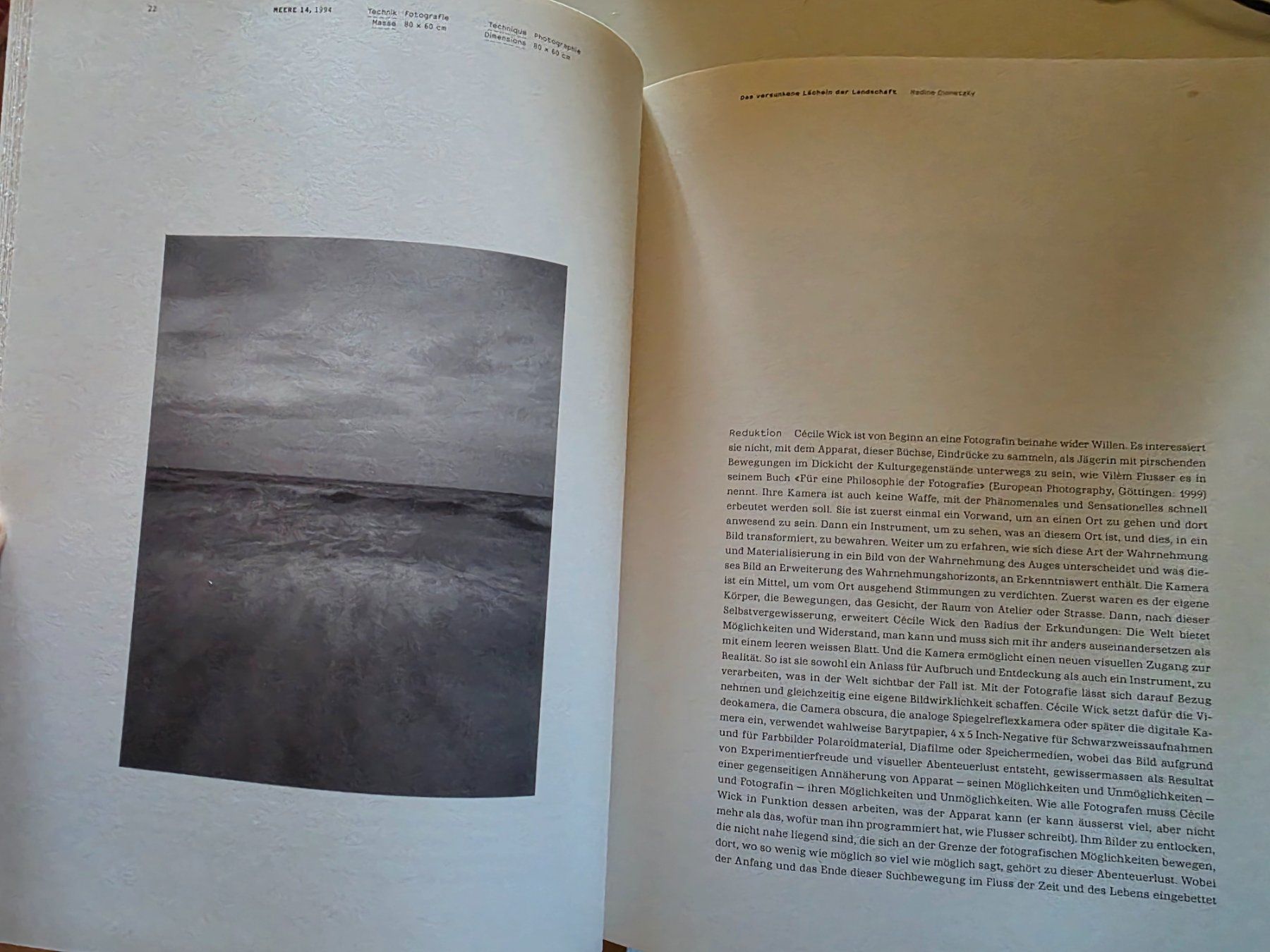 Libri: Cécile Wick - Weltgeschichte - Kunstmuseum Bern 2006 – Nuovo (secondo la descrizione) da Walterswil BE venduto da Lonitti 5