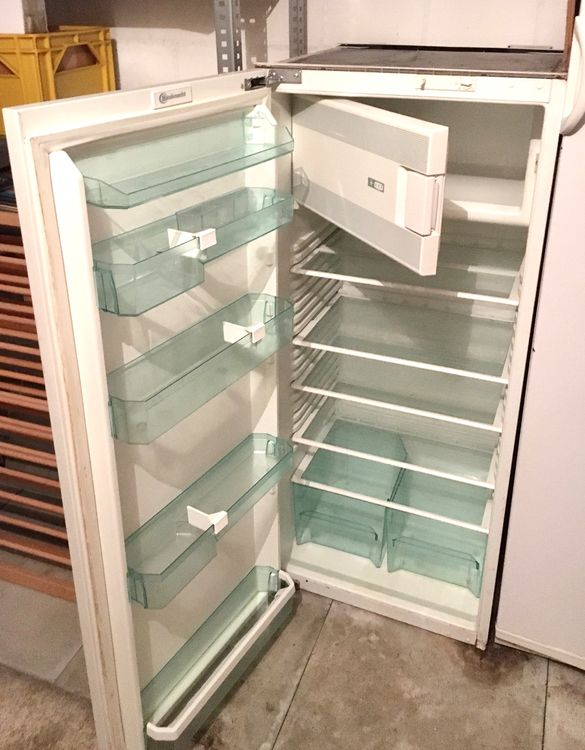 Scharnier-Set Für Ignis Kühlschrank/Gefrierschrank – Oberes & Unteres Türscharnier, Integriert & Passgenau