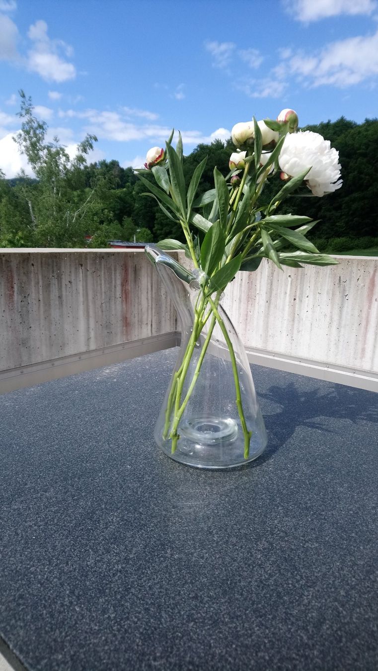 Vasi & Recipienti: Niederer Vase gross 32cm – Usato da Boll venduto da frauweber 3