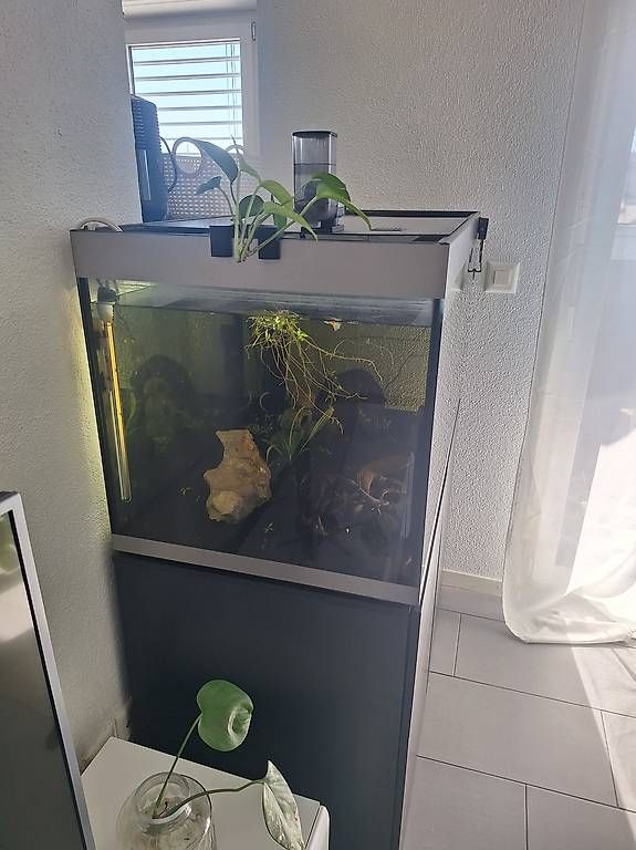 Acquari: aquarium fluval 270l complet – Usato da Coppet venduto da Donnnnnnyyyyy 1