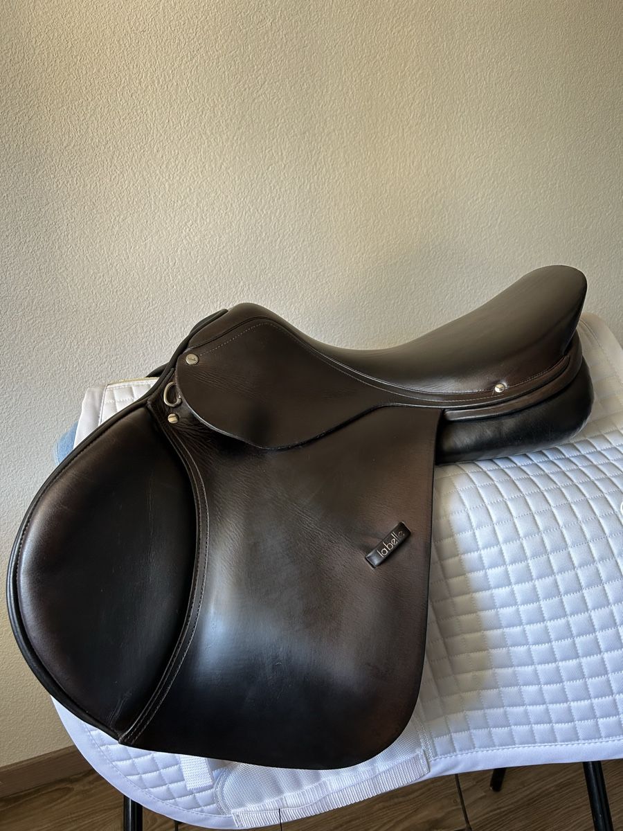 Selle & Accessori: Labelle Springsattel top gepflegt – Usato da Rickenbach ZH venduto da nathifa