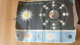 Poster Mondphasen "The Phases of the Moon" 50 x 70 cm