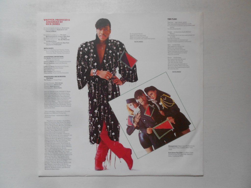 Schallplatten: RICK JAMES  -  THE FLAG – Gebraucht aus Bex von Giorgiob 2