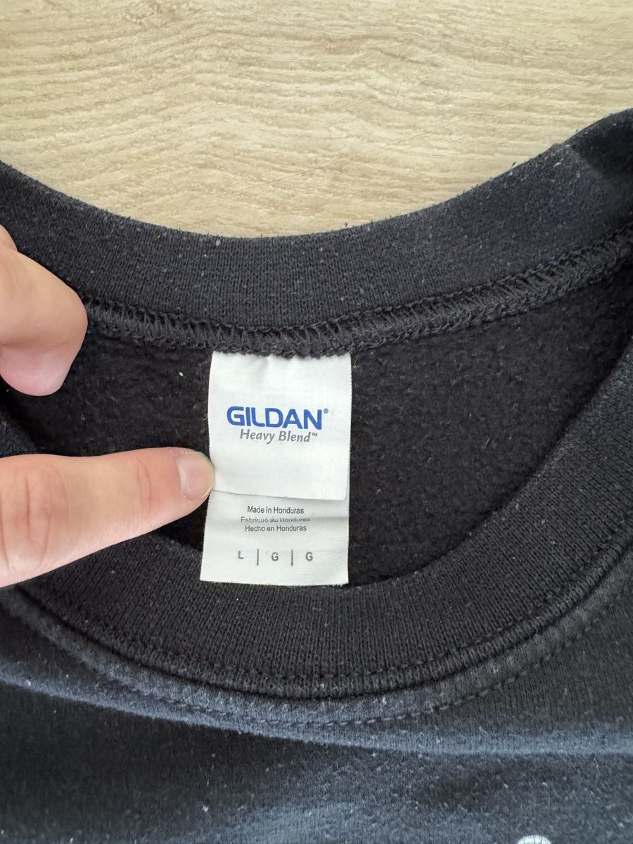 Maglioni & Felpe: Gildan Champion Pullover schwarz, L – Usato da Maisprach venduto da jokoundklaas 4