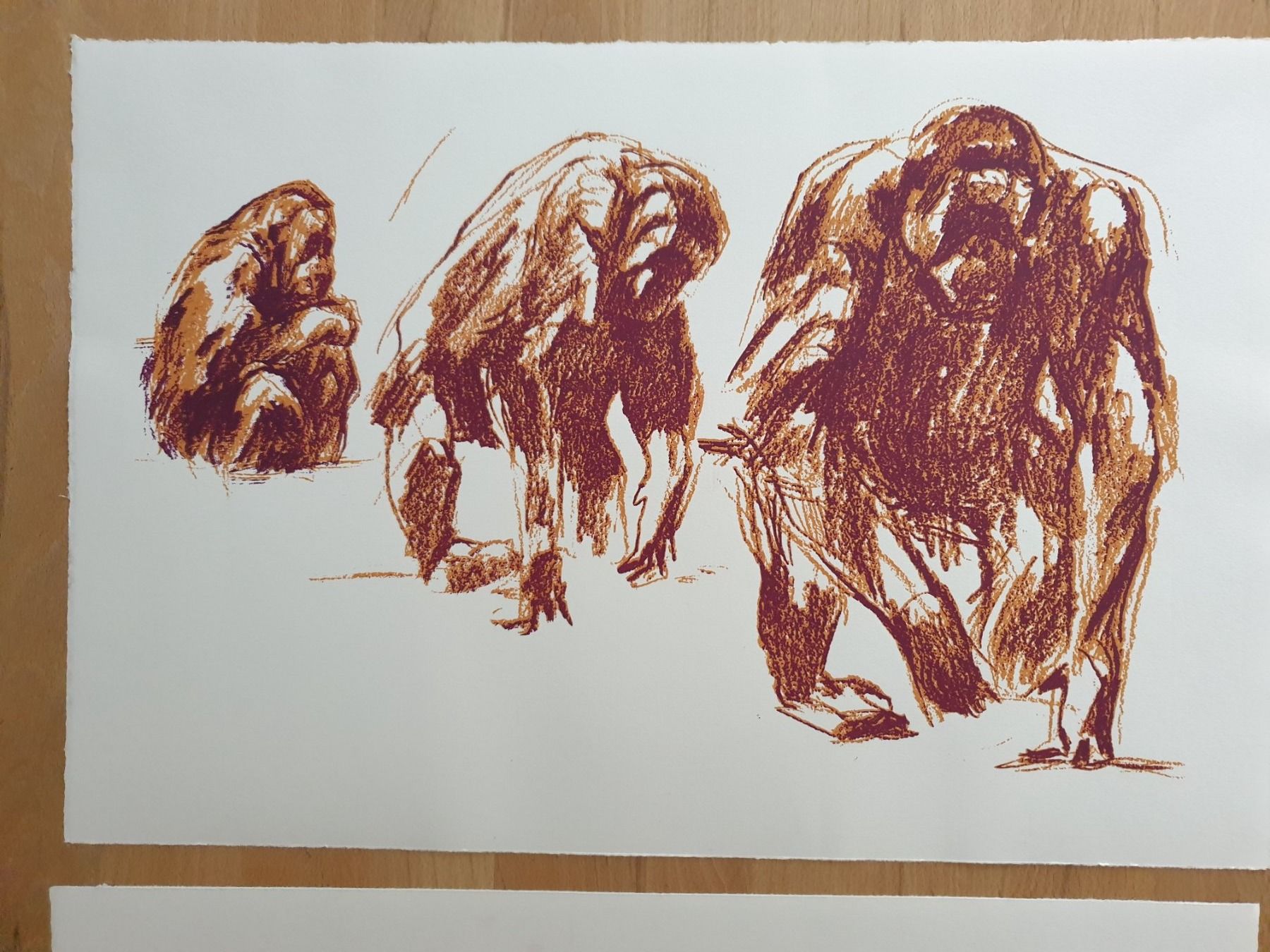 Foto & Immagini: 3 Drucke Affen-Studien Bildmass : 32x47,5 cm – Nuovo (secondo la descrizione) da kaiseraugst venduto da Yohe 4