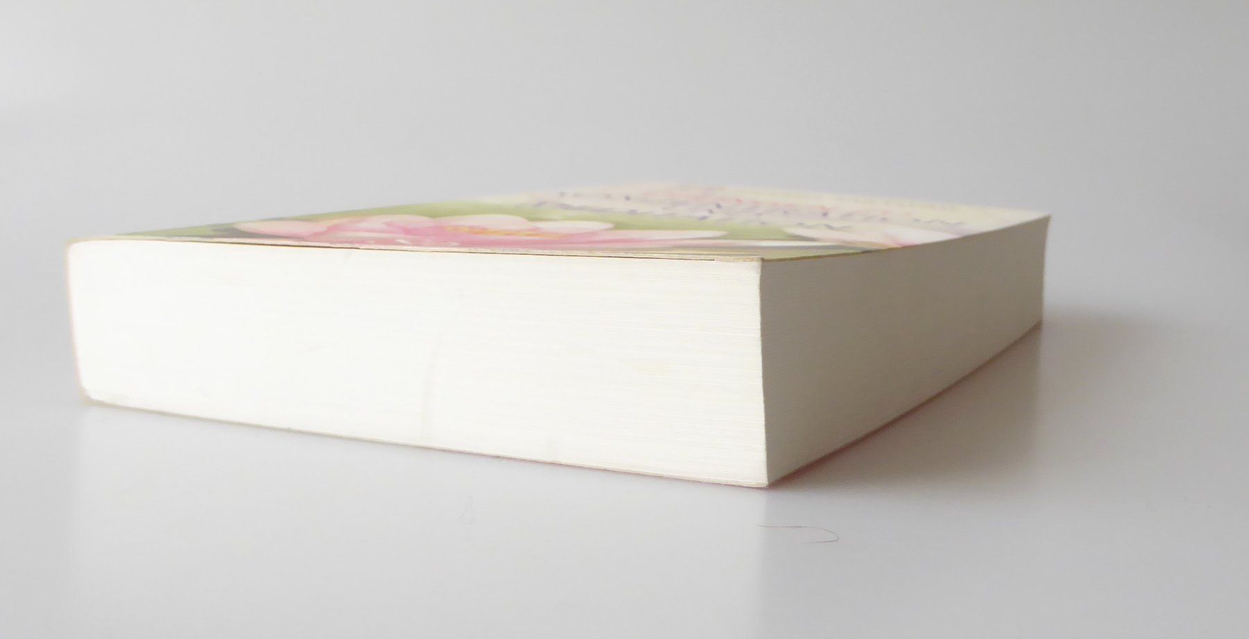 Bücher: Übungen zu Konzentration und Meditation – Neu und originalverpackt aus Mauren von Yeelen 2