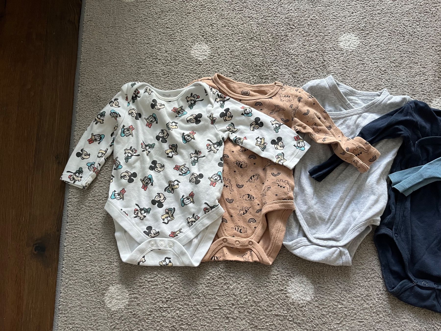 Biancheria intima: Bodys Gr. 74/80 – Usato da Villnachern venduto da schudelinho 2