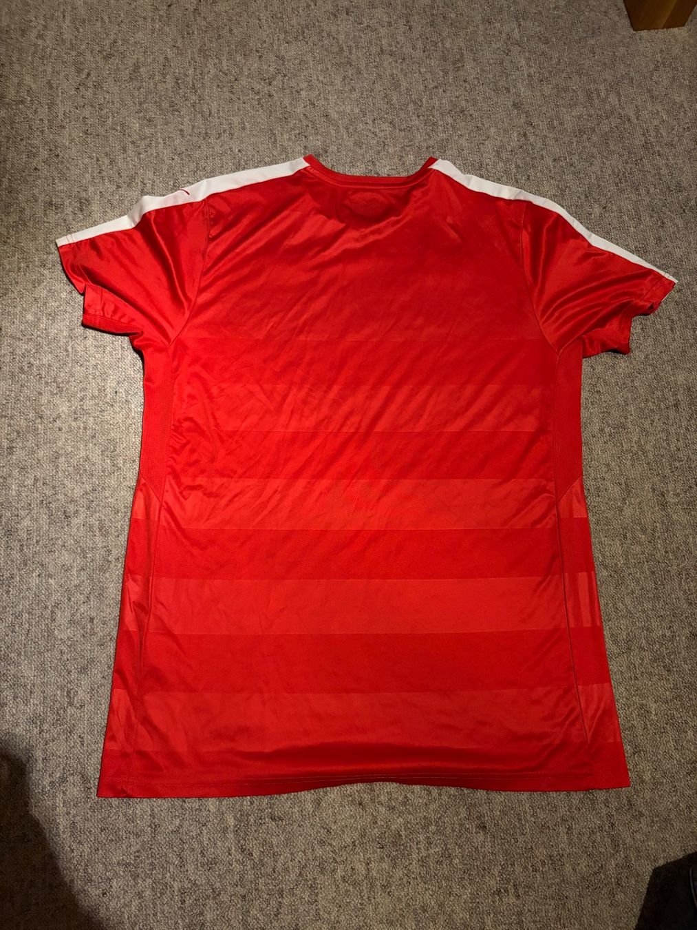 Schweizer Nati Canottiere & Pantaloni: Schweizer Nati Trikot EM 2016 XL – Usato da Winterthur venduto da man_6q8f 1