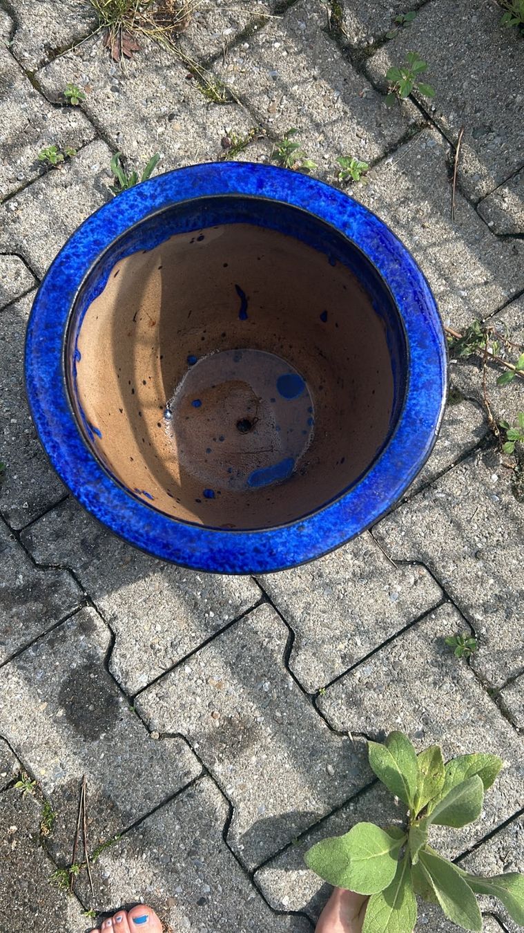 Pots de fleurs: Verschiedene Blumentöpfe – D'occasion à Starrkirch-Wil par Fanciullo 8