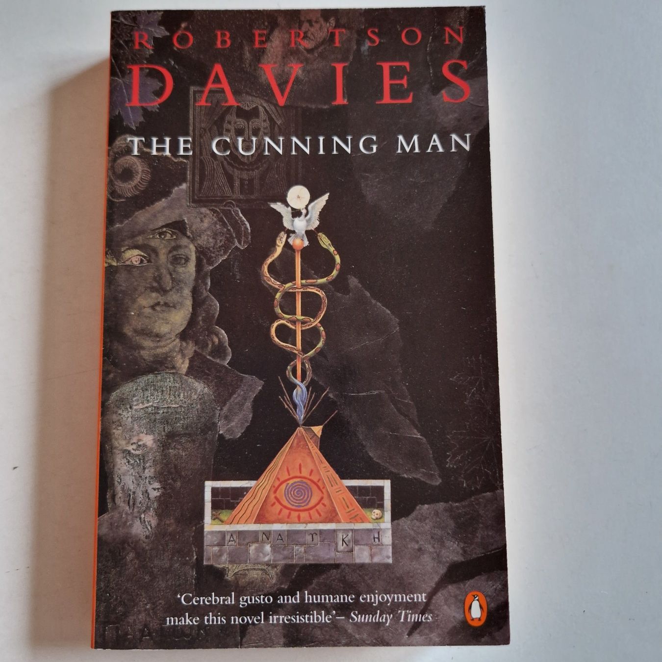 Libri: The Cunning Man – Usato da Rüti ZH venduto da Gigelisuppe