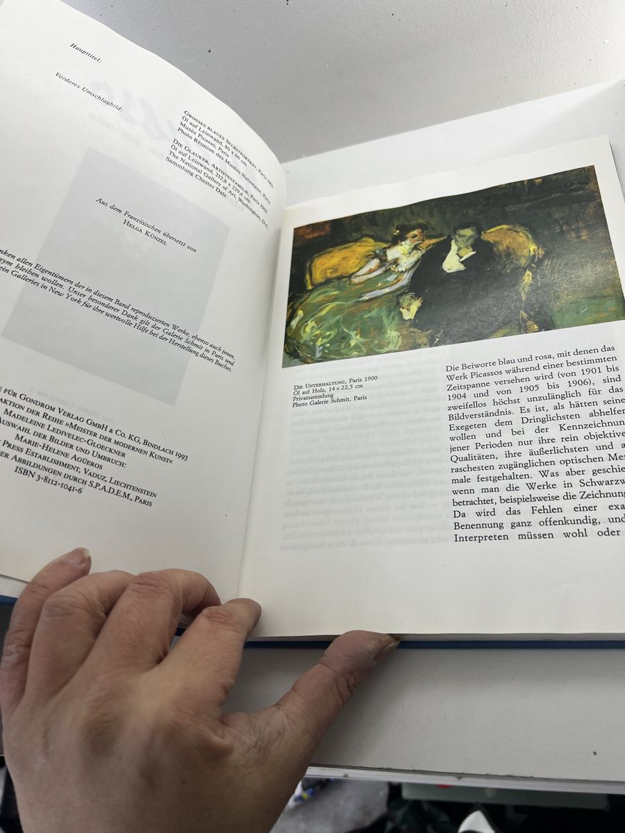 Libri: Denis Chevalier Picasso Blaue und Rosa Periode – Usato da Wettingen venduto da NickInc 2