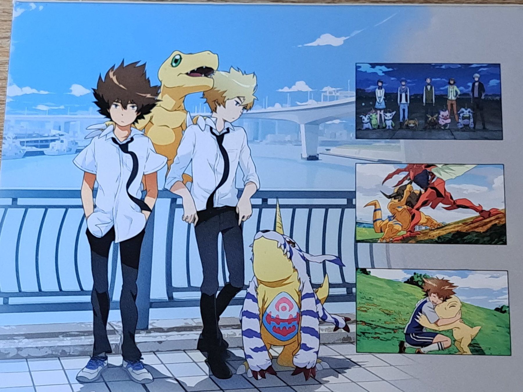 Tutti i DVDs: DVD Digimon Adventure Chapter 1 Reunion – Nuovo (secondo la descrizione) da Unterseen venduto da Kanica 3