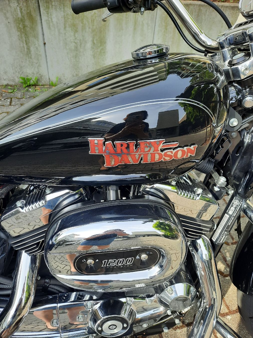 Harley-Davidson Chopper: Harley Davidson Sportster – Nuovo (secondo la descrizione) da Basel venduto da usc_hi9 3