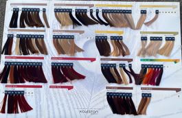 Wella Koleston Perfect Farbkarte mit Echt-Haarsträhnen – geb