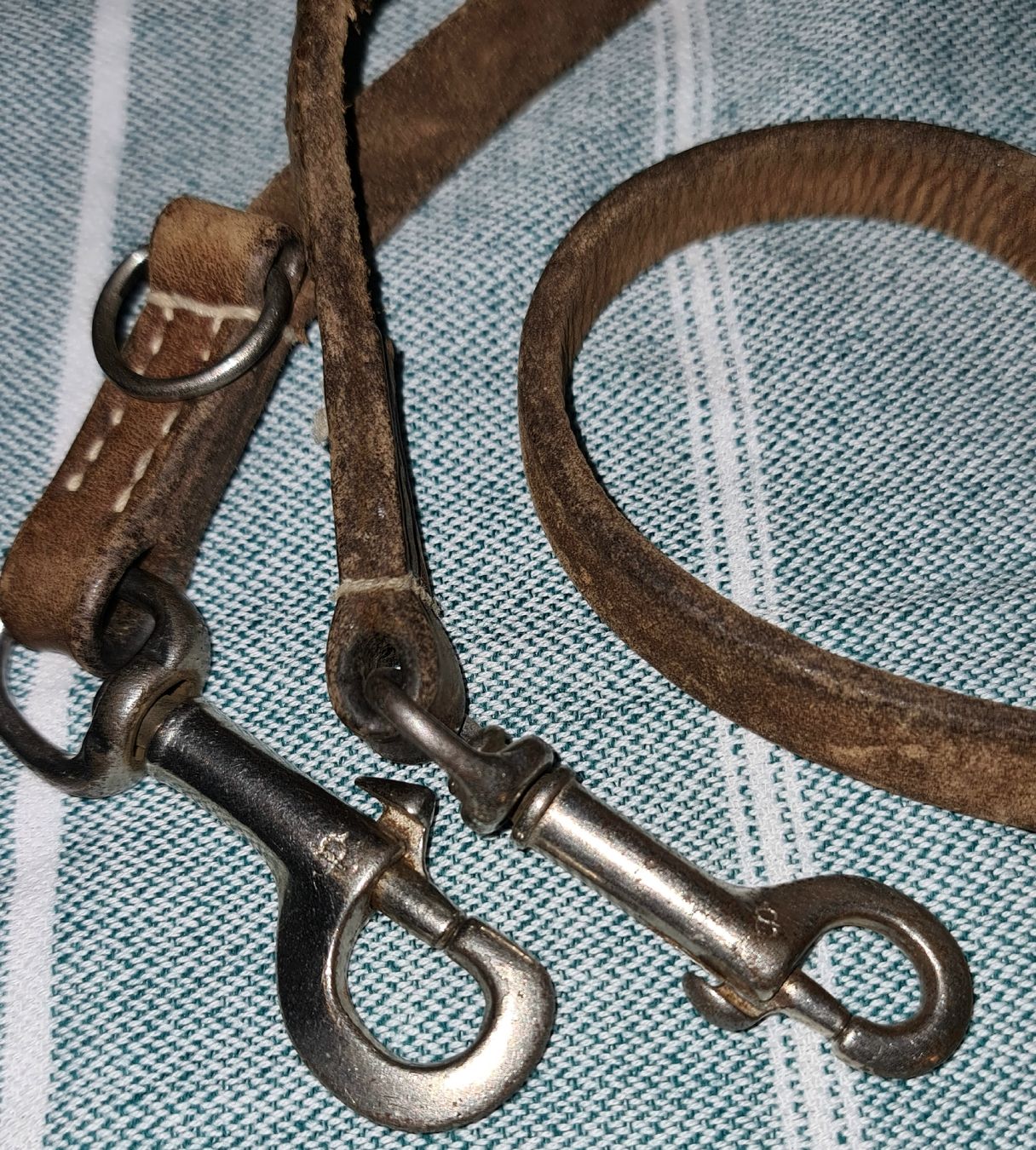 Briglie & Cavezze: Sangles / lot – Usato da Cortaillod venduto da signep 5