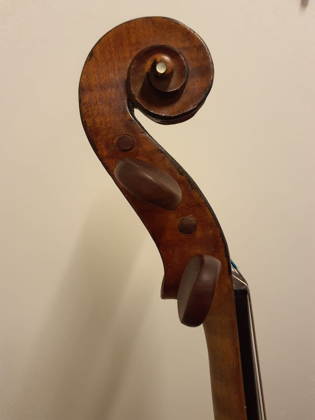 Musikinstrumente: Geige – Gebraucht aus Wattwil von inf_6695