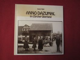 IM ZÜRICH OBERLAND!! ANNO DAZUMAL(DAVID MEILI 1977)