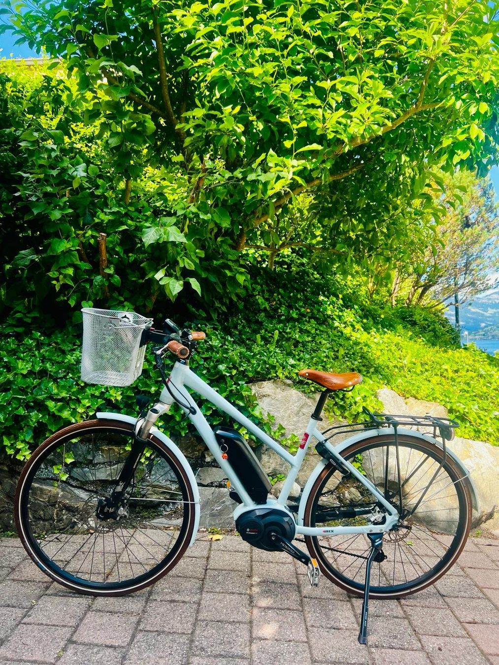 Ibex Biciclette: Ebike Ibex eAvantgarde – Usato da Hergiswil NW venduto da Tinu35