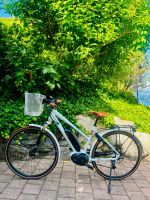 Ebike Ibex eAvantgarde