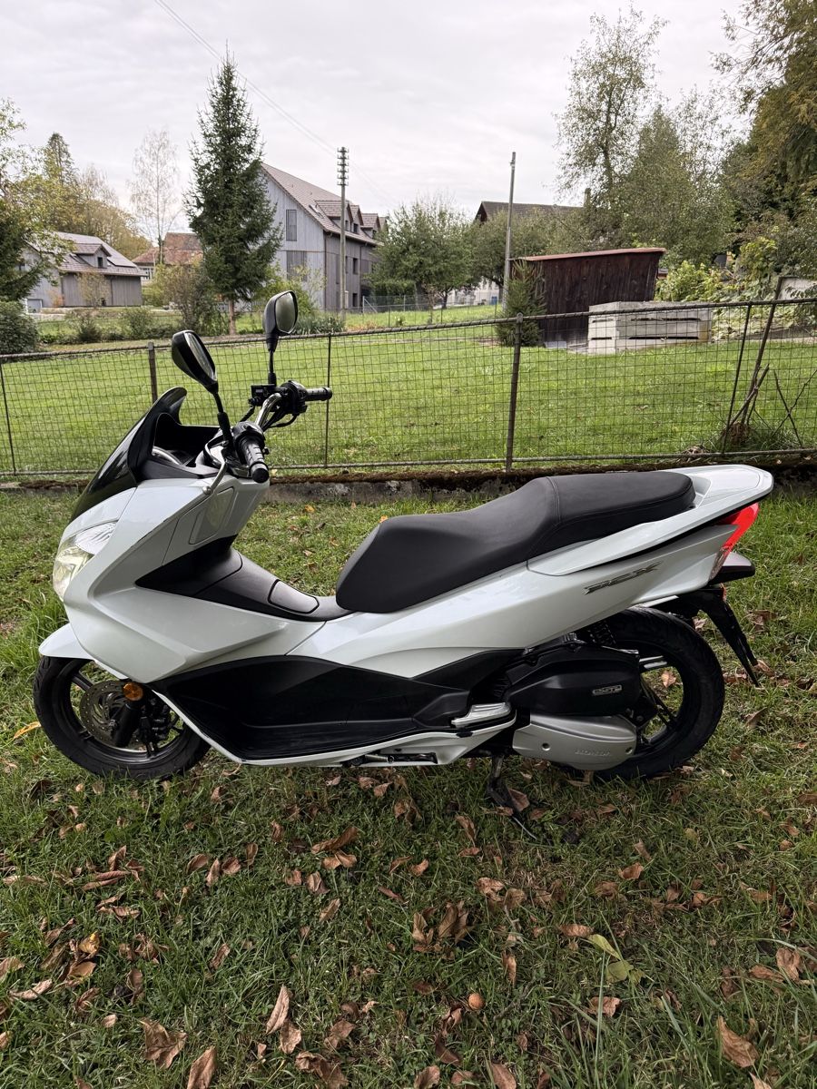 Honda Scooter: HONDA PCX 125 CC – Usato da Winterthur venduto da Fabio_46 6